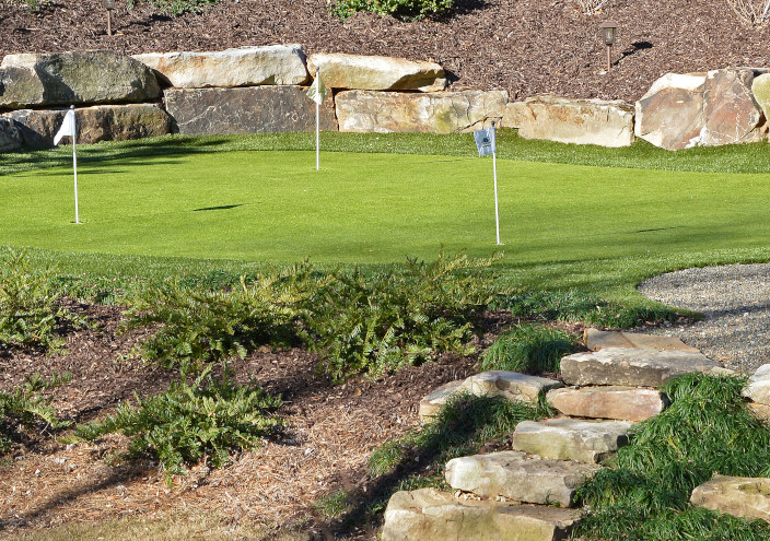 Top Trends For Detroit and all of Michigan Backyard Golf Putting Greens