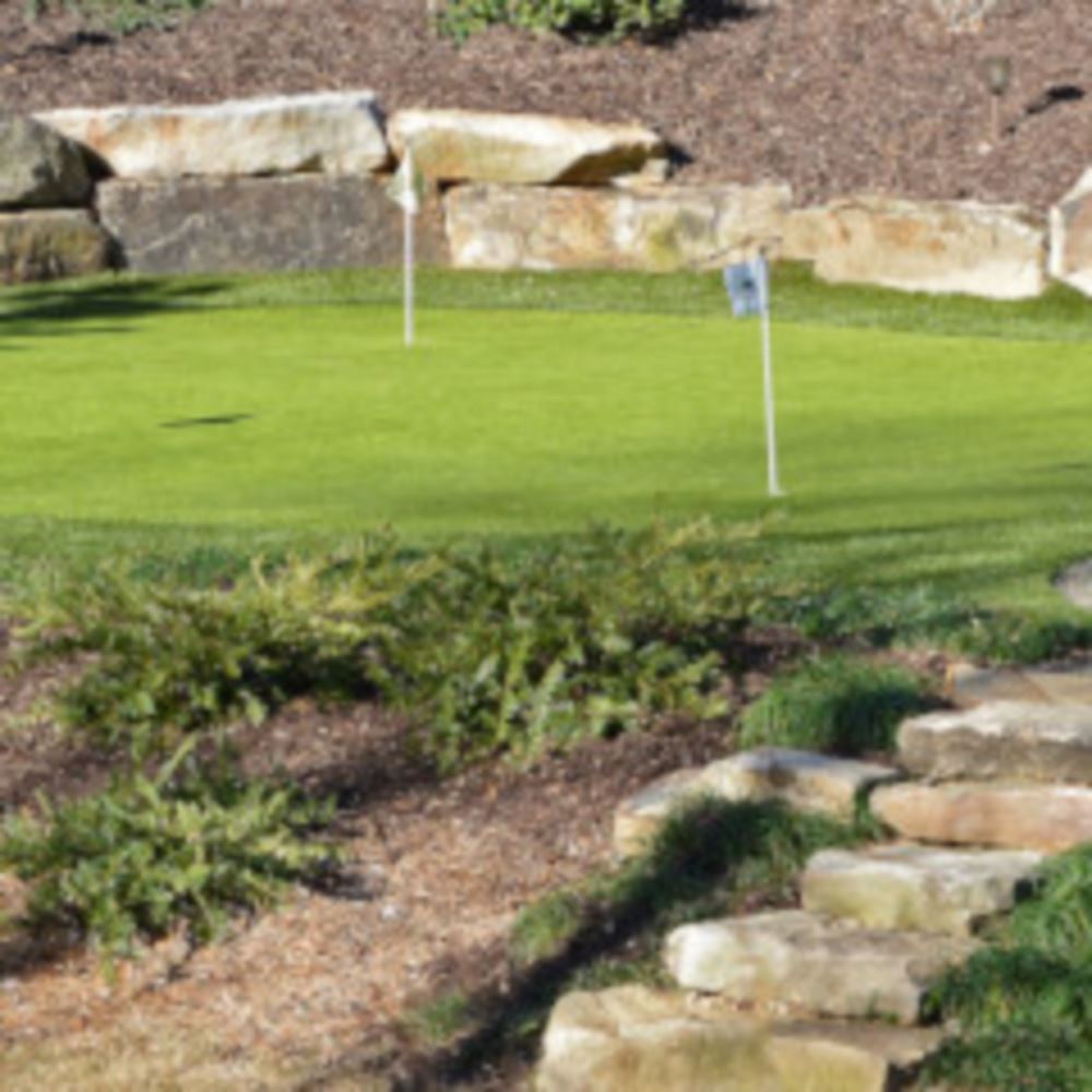 Top Trends For Detroit and all of Michigan Backyard Golf Putting Greens